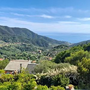 Bella , Bracco Italia